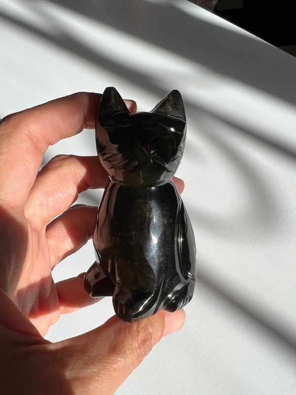 Gold Sheen Obsidian Cat