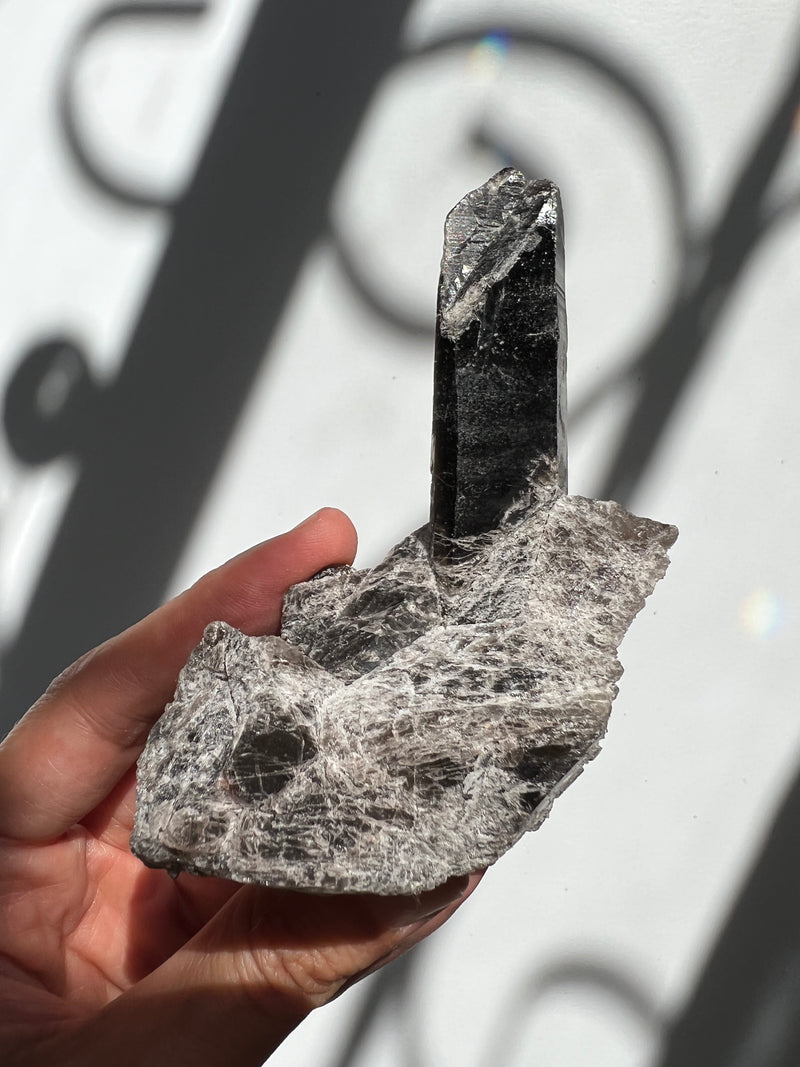 Black Quartz Raw